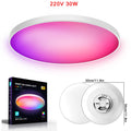 Smart Ceiling Light WiFi 30W 48W RGBCW Decken Lamp Voice Control LED Lights Plafonnier Home Room Decoration With Google Alexa